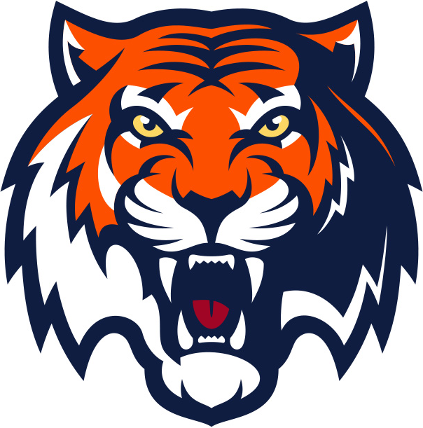 Amur Khabarovsk 2014-Pres Primary logo iron on heat transfer...